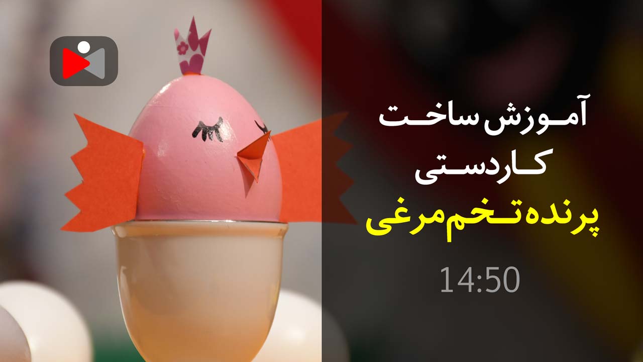 ویدیو آموزش ساخت کاردستی پرنده با تخم مرغ